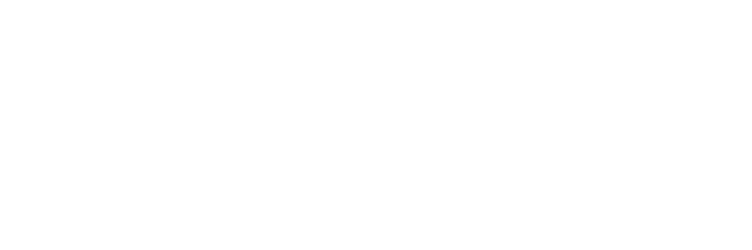 borusan_logo