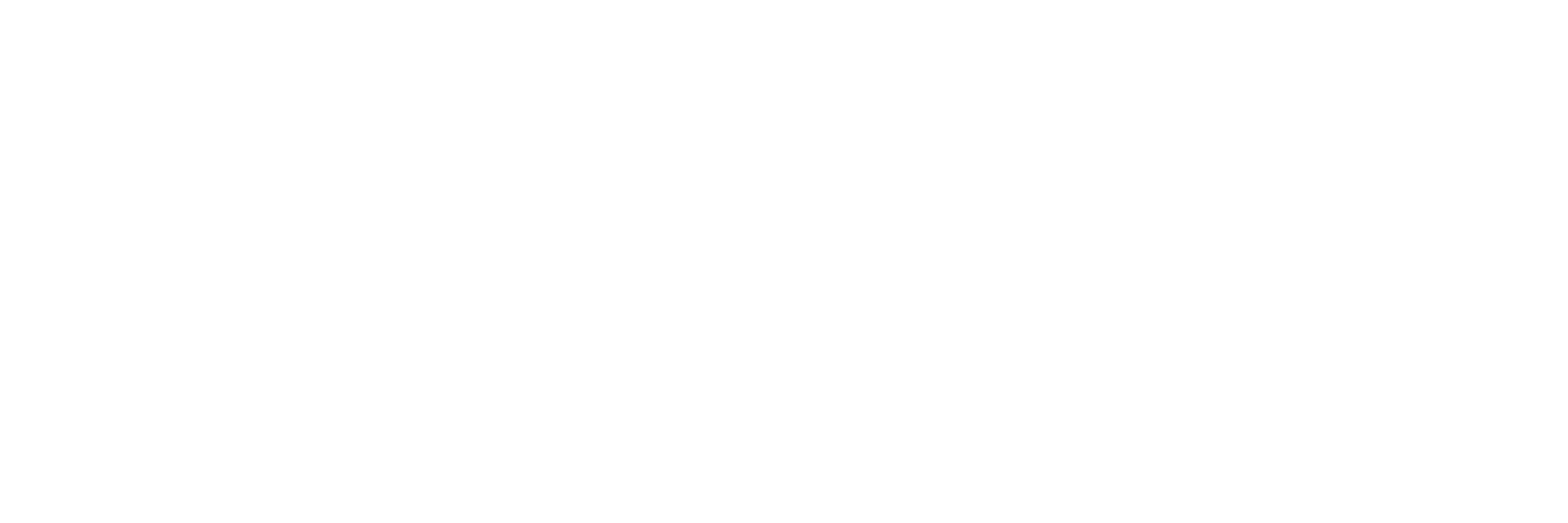 erdemir_logo